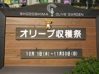 オリーブ収穫祭