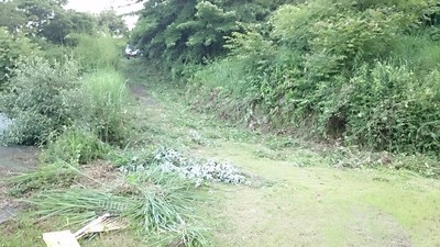 お墓の前の草刈り