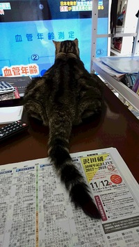 健康が気になる？マーブル君！