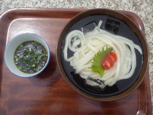 あやうた製麺 冷やしうどん