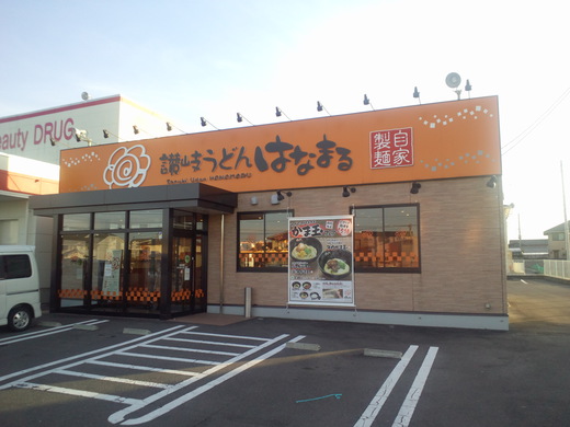 はなまる　鶏の唐揚げ丼セット