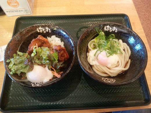はなまる　鶏の唐揚げ丼セット
