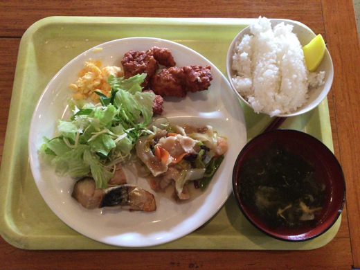 ジュネーブ　バイキング　東かがわ市
