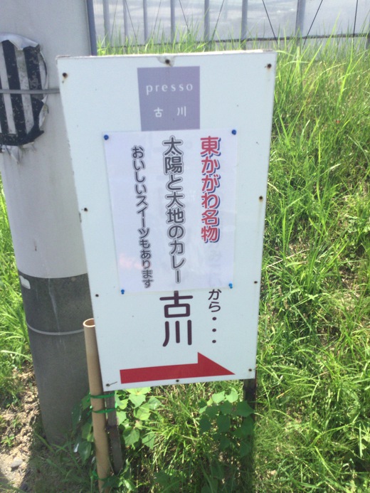 美味処古川（プレッソ古川）瀬戸の太陽と大地のカレー　赤と緑のコンビセット　東かがわ市馬篠　