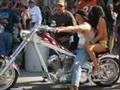 Leesburg, Florida's Bikefest - Gold Wings & Road Kings