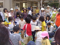 土作り