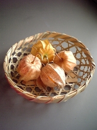 食用ほおずき