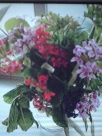 ハーブの花束