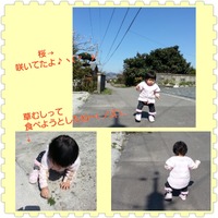 春♡散歩
