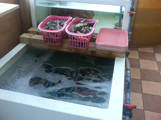 続：うどん風呂