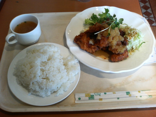 カルメン　とりからみぞれライス大盛り