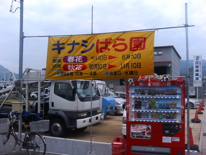 キナシばら園