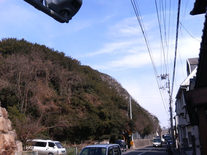 イオン高松の西の高架橋からみた柴山