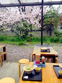 お花見＆うどんツアー（初めてチーム）