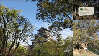 呉～広島の旅　②