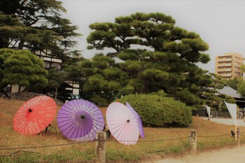 栗林公園　ライトアップ