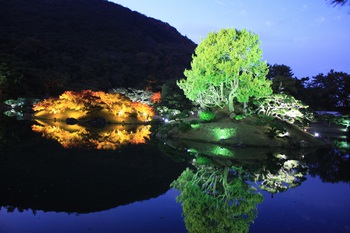 栗林公園　ライトアップ