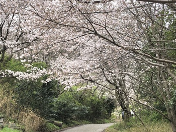 堂山　登山