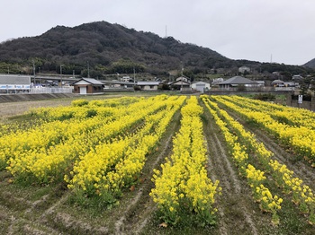 ころころ変わる気温