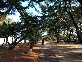 あわじ浜離宮 @淡路島