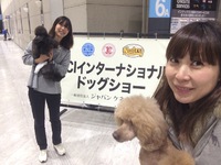 スタッフ紹介 A級トリマーmisa