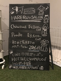 スタッフの個性
