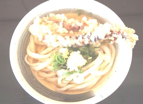 さか枝・かけうどんとゲソ天・250円