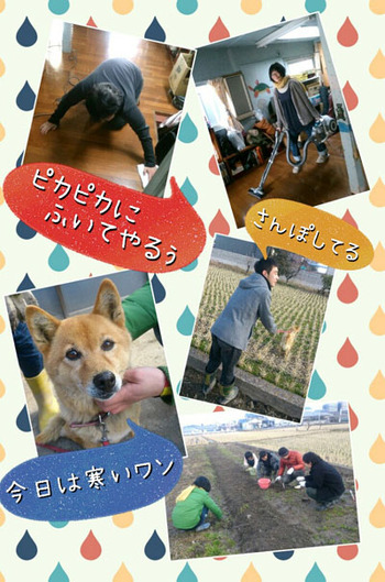 みんなで見た・・・