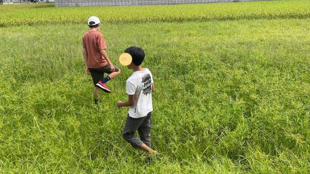 9/21  畑＆掃除