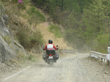 剣山スーパー林道（１）　アケボノツツジ咲いていた～