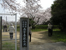西方寺配水池の桜