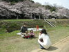 西方寺配水池の桜