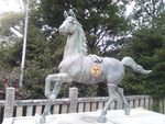 龍さん、よろしく