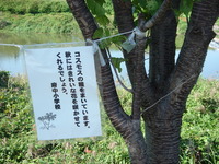 香川の太古に触れる（香川県埋蔵文化財センター）
