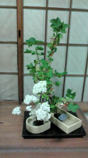 生け花☆６月２回目
