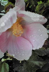 2010年12月05日