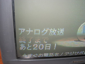 ～長い長いおつきあい～