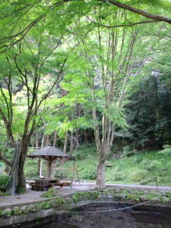 高千穂峡