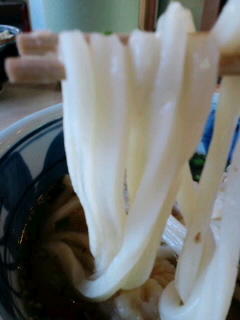 鳥天うどん