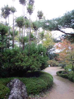 禅の会♪