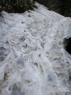 バイクで登山♪