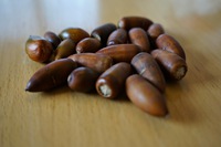 どんぐりには、どんぐりボックスを。