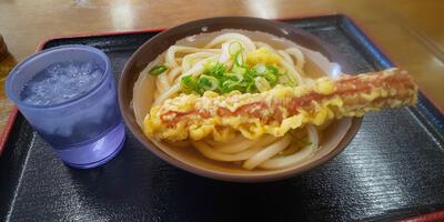 ぼっこ屋