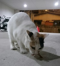 おりましたなぁ～！！^_^;