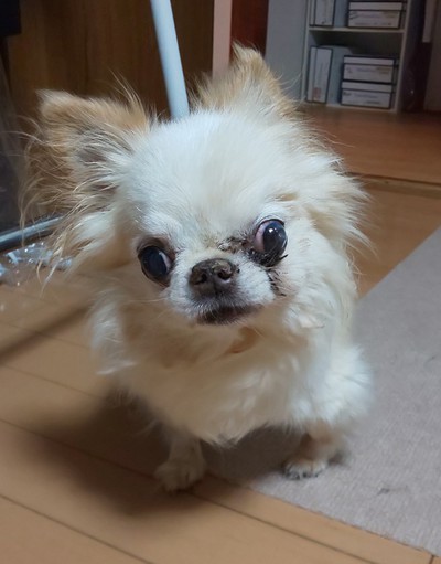 僕は頑張って生きてます！！^_^