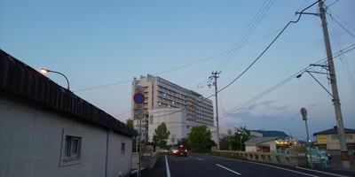 ハゲ散歩