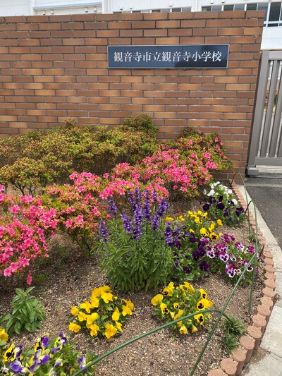観音寺市スポーツ教室に行ってきました！