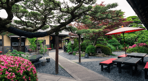 初めて案内するうどん店は、やはり『うどん本陣山田屋』