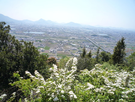 讃岐富士に登る。