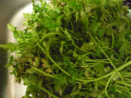 年に一度の山菜三昧